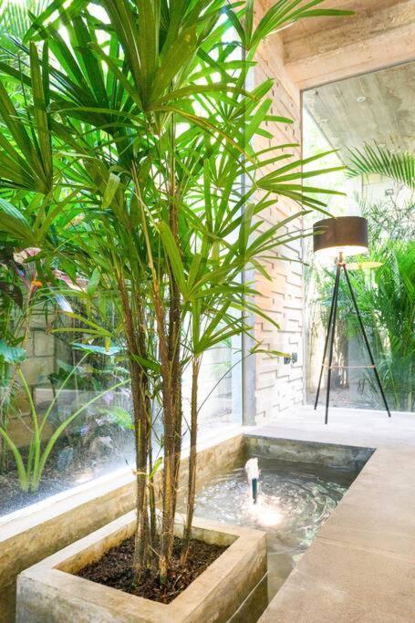 Villa Nimi Architectural Masterpiece Experience Private Pool & Great Concierge Service By Hum Living Tulum Exterior foto